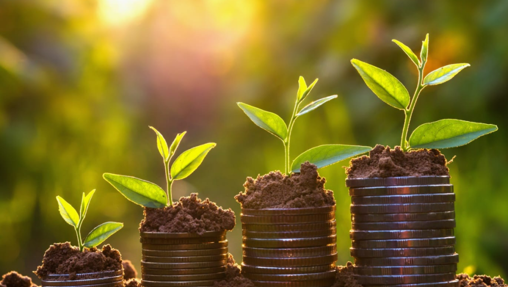 Plants growing on coin stacks representing organic and sustainable business growth.
